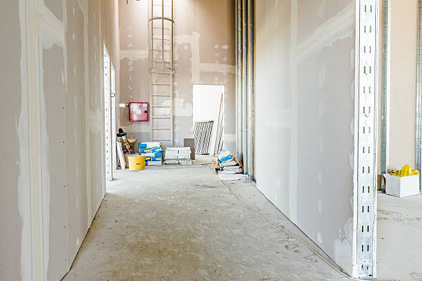 Best Drywall Installation  in Pearsall, TX